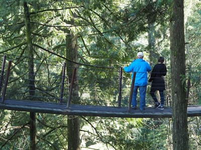 Go Ape Treetop Adventure