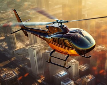 Helicopter Tour