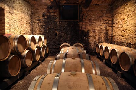 Wine Tour