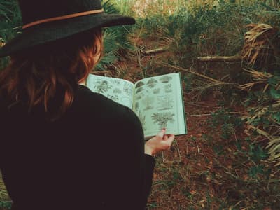 Nature Walk